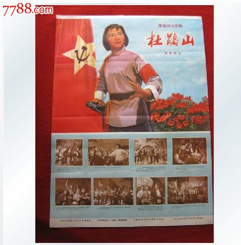 做假假爱尔兰护照电子版